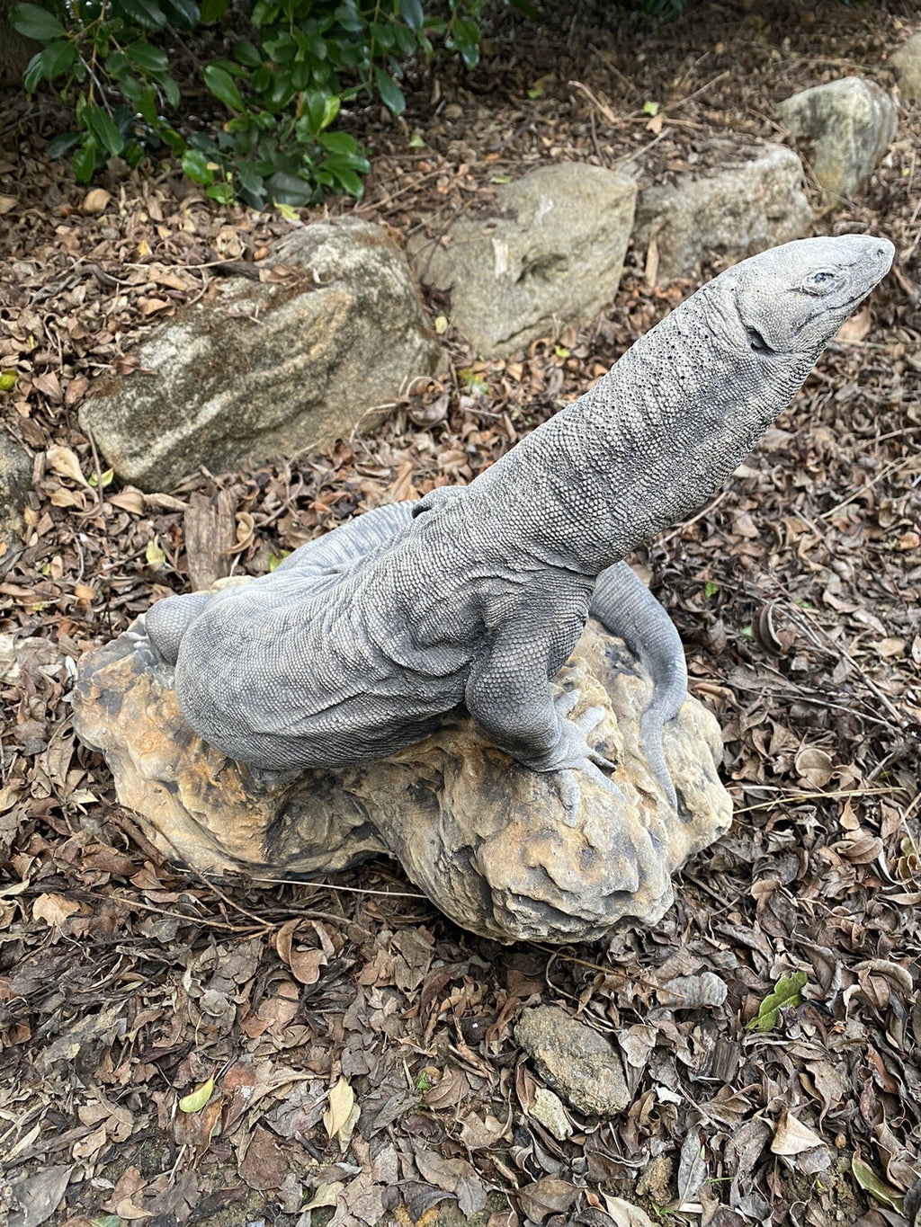 Goanna Basking Lizard tatue Ornament Animal Concrete Garden Australian Made
