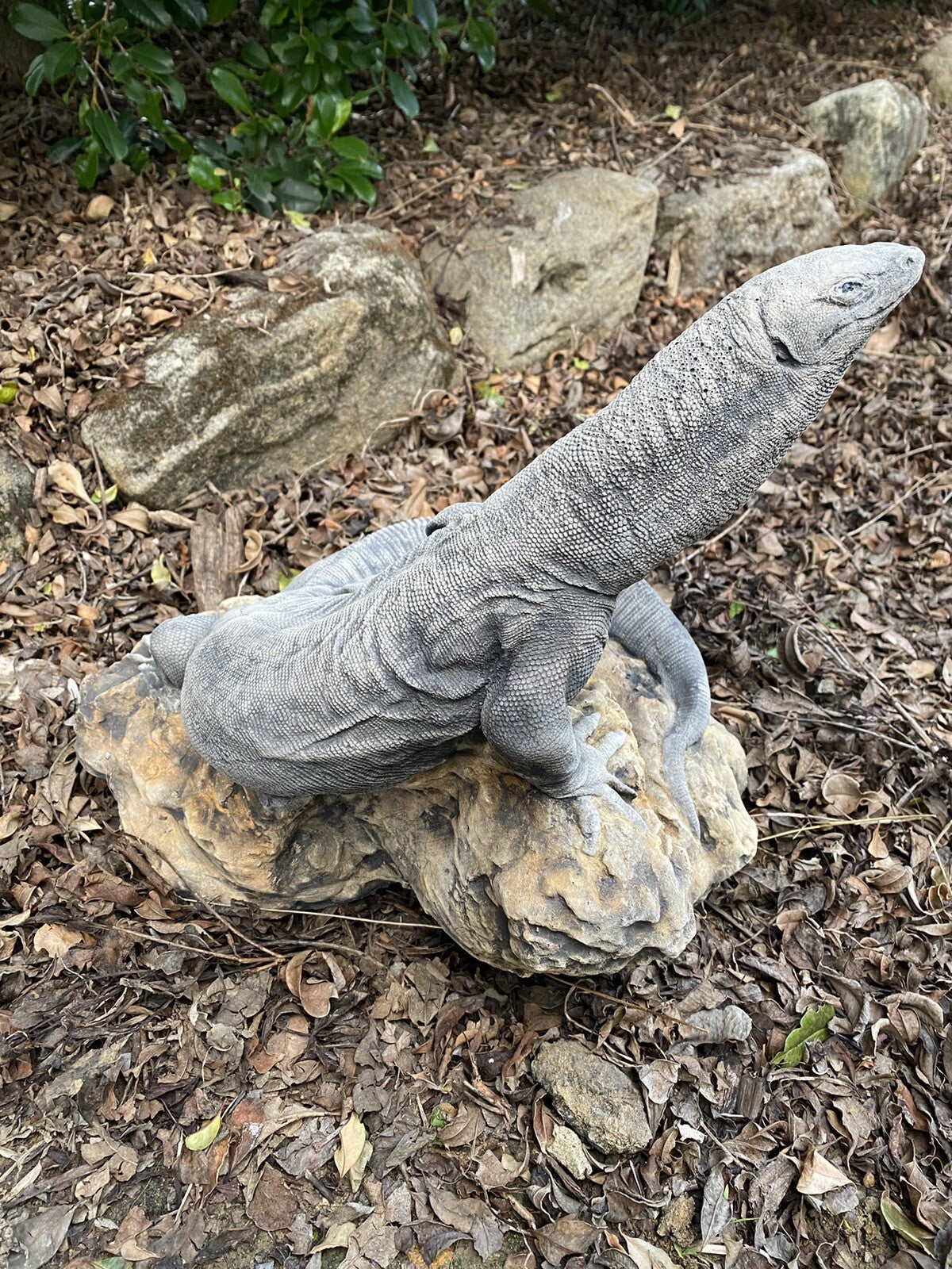Goanna Basking Lizard tatue Ornament Animal Concrete Garden Australian Made