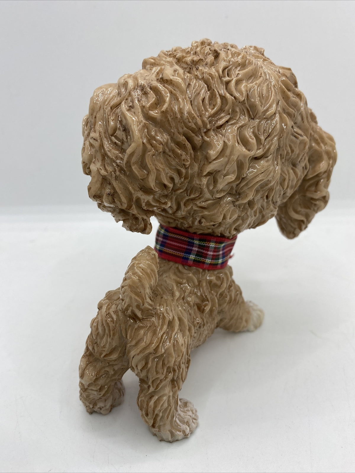Little Paws - Mollie The Cavachon Poodle Cross Cavoodle Pets With Personality