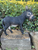Resin Donkey Garden Statue | Farm Animal Ornament | Indoor & Outdoor Décor