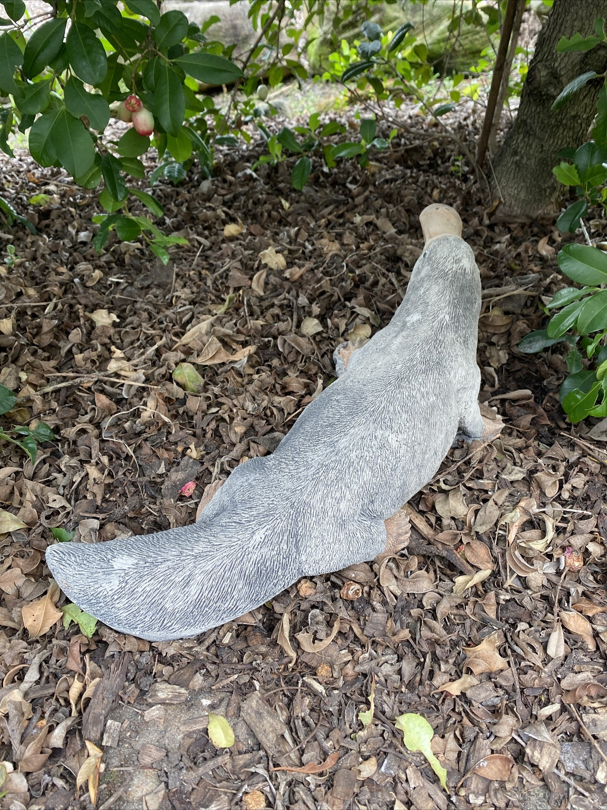 Platypus Statue Ornament Animal Concrete Cement Garden Australian Made