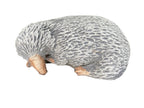 Australian Echidna Animal Concrete Cement Garden Statue Australian Made
