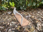 Bearded Dragon Lizard Statue Ornament Animal Concrete Garden Australian Made