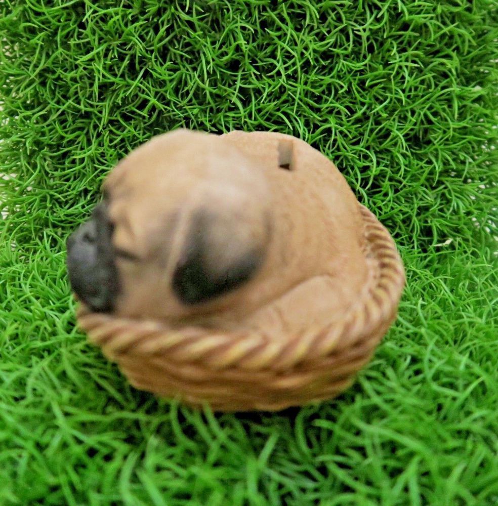 Brown Dog Puppy Pug Asleep In Basket Ornament ~ Statue ~Home Decor