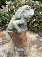 Frog In Potato Sack Animal Concrete Cement Garden Statue Australian Made