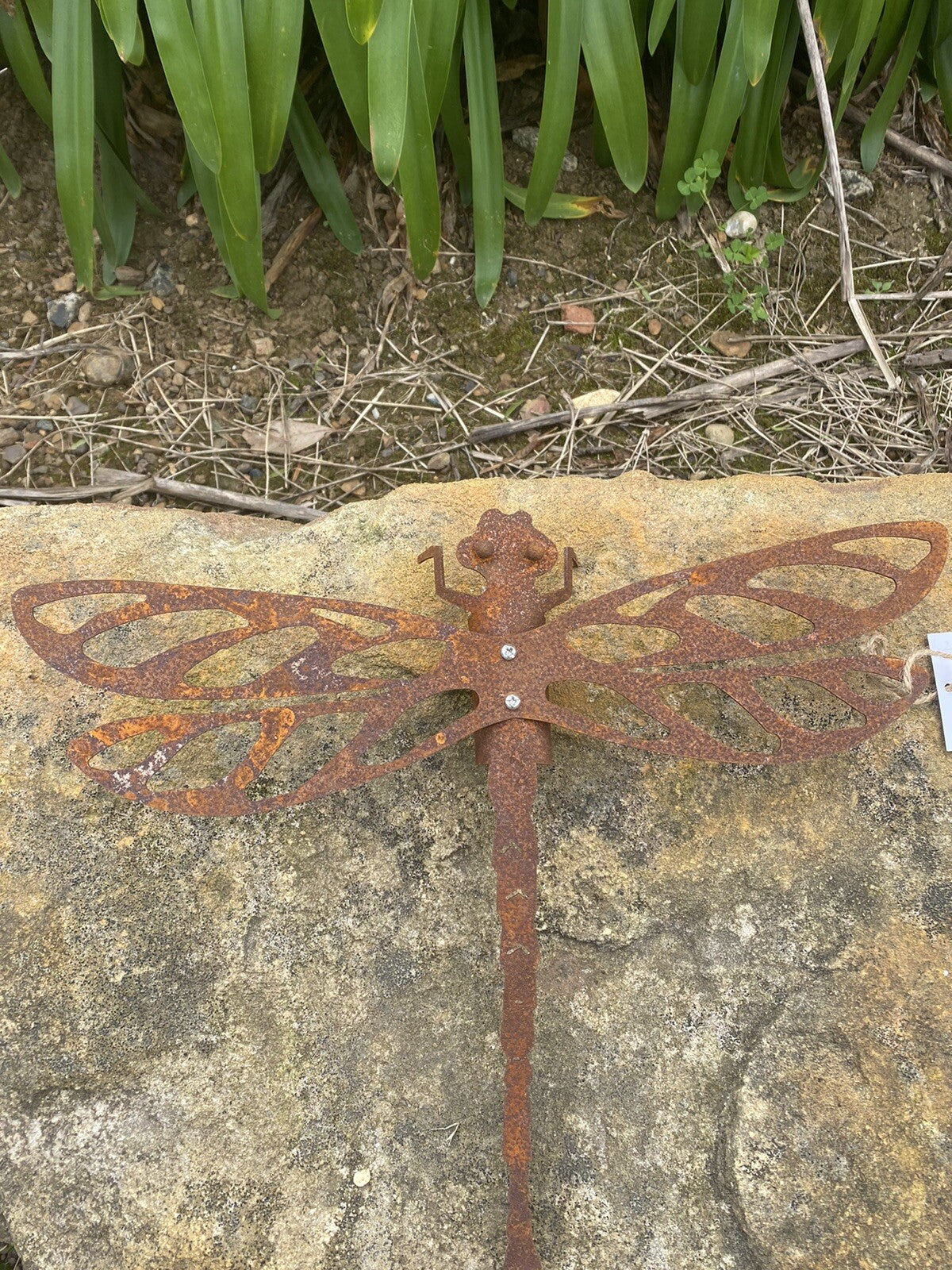 Dragonfly Metal Garden Art Rusty Wall Décor 40cm