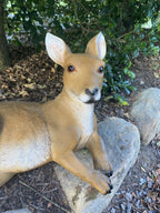 Australian Kangaroo Laying Garden Statue Ornament Figurine 69 cm