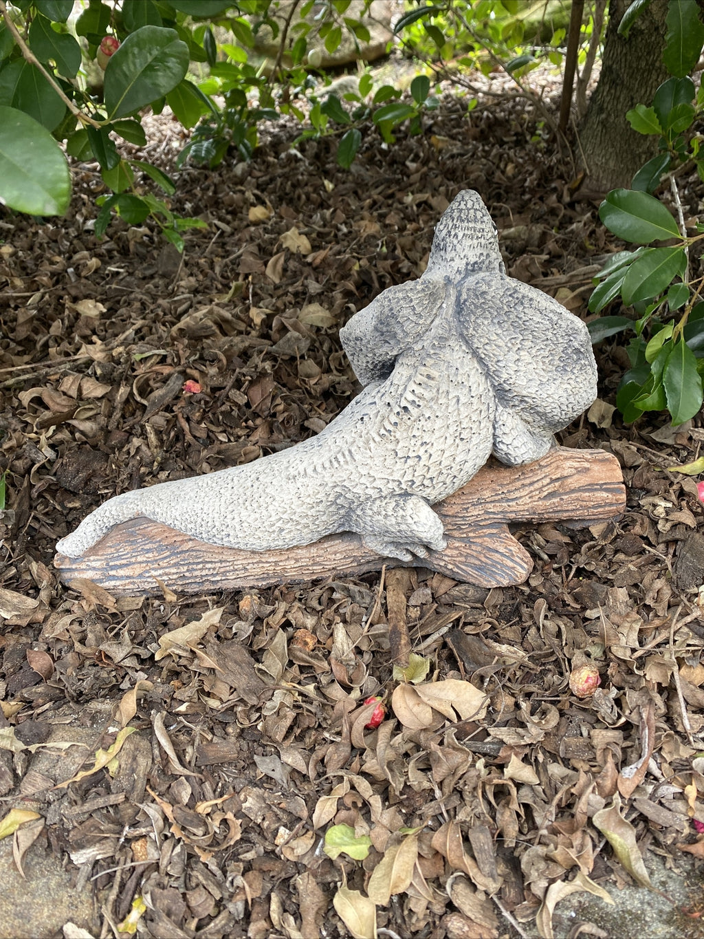 Frill Neck Lizard Statue Ornament Animal Concrete Garden Australian Made