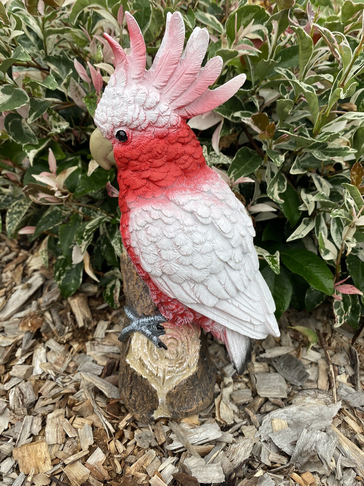 AUSTRALIAN MAJOR MITCHEL BIRD ON A BRANCH ANIMAL GARDEN STATUE ORNAMENT GIFT
