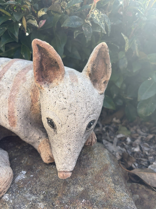 Australian Made Concrete Numbat Garden Statue | Outdoor Native Wildlife Ornament