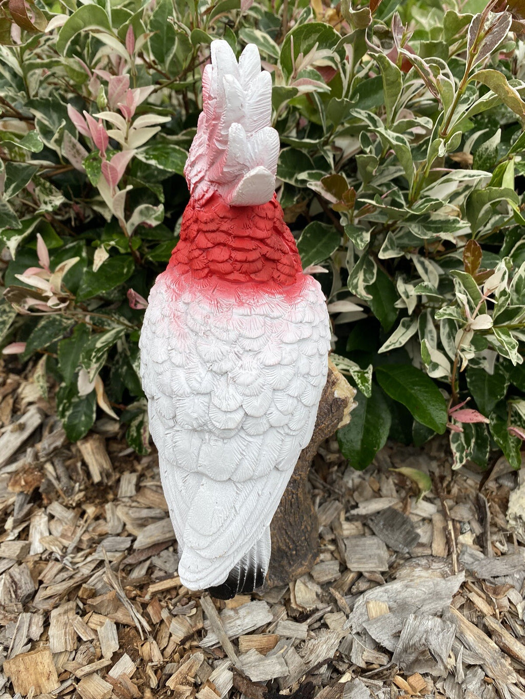 AUSTRALIAN MAJOR MITCHEL BIRD ON A BRANCH ANIMAL GARDEN STATUE ORNAMENT GIFT