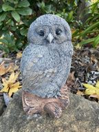 Fluffy Owl Statue Ornament Animal Concrete Garden Australian Made