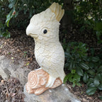 Sulfa Crested Cockatoo Statue Ornament Animal Concrete Garden Australian Made
