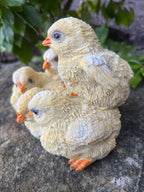 Chicken Chicks Poultry Garden Statue Ornament Figurine