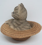 GREY TABBY CAT MEMORAIL IN A HAT MONEY BOX ANIMAL GARDEN STATUE ORNAMENT  GIFT
