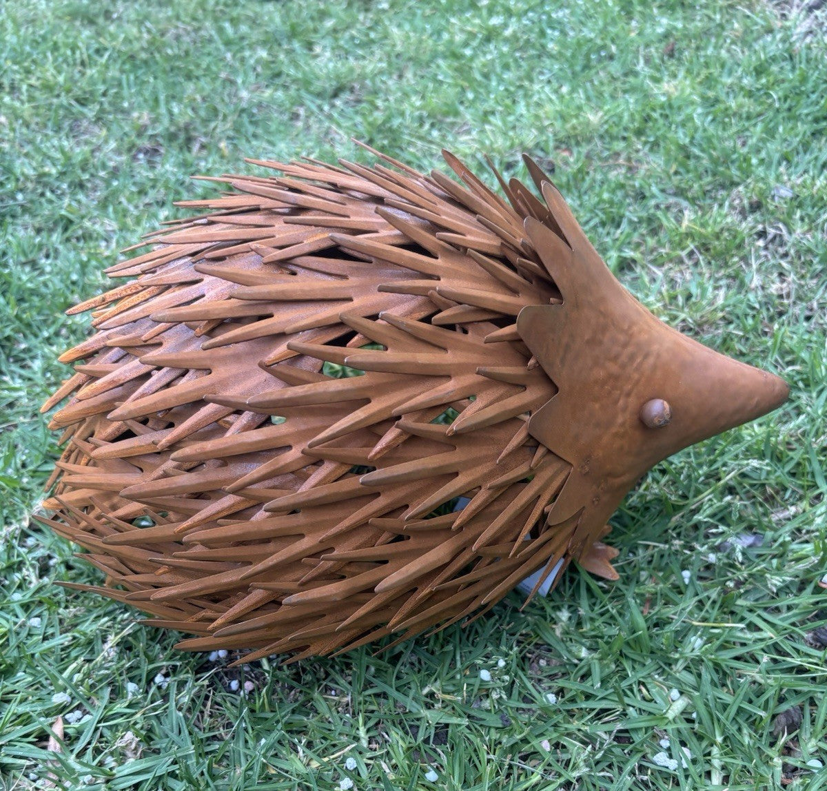 Australian Echidna Metal Garden Statue