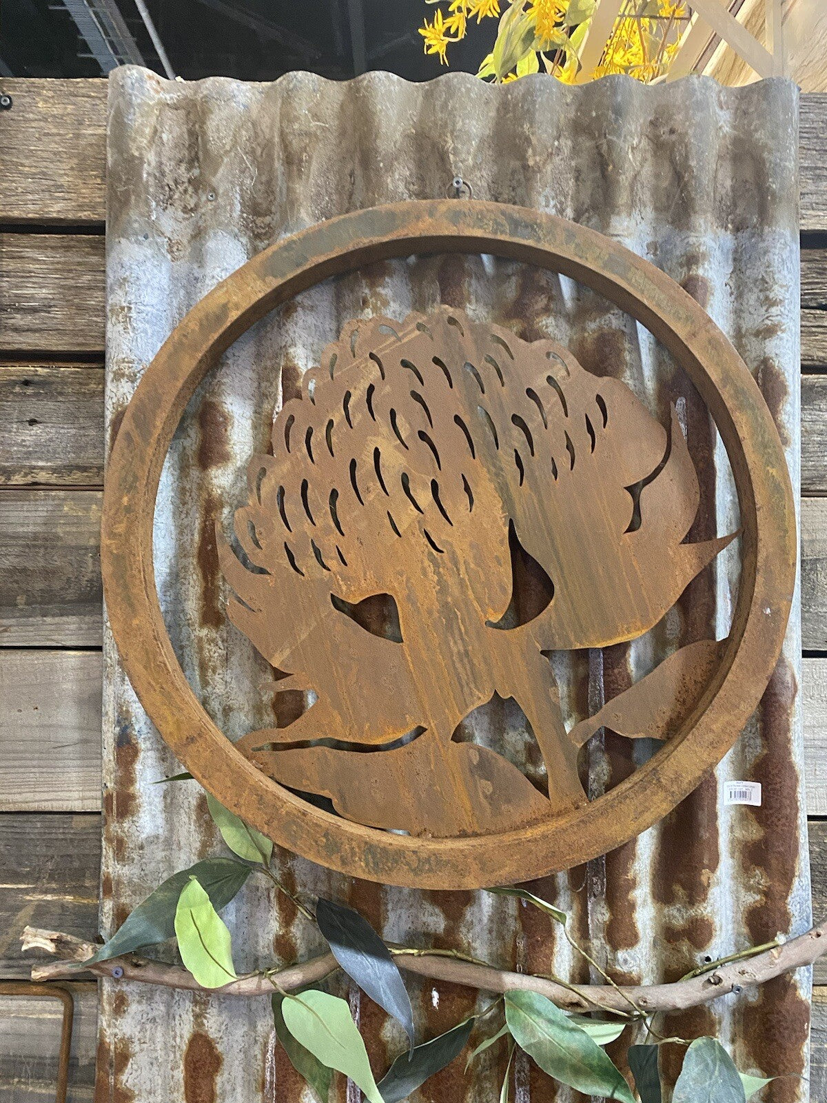 Australian Native Waratah Garden Flower Round Rust Corten Metal Wall Art 60cm