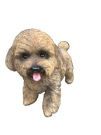 Cavoodle Resin Dog Garden Statue – Cute Dog Ornament