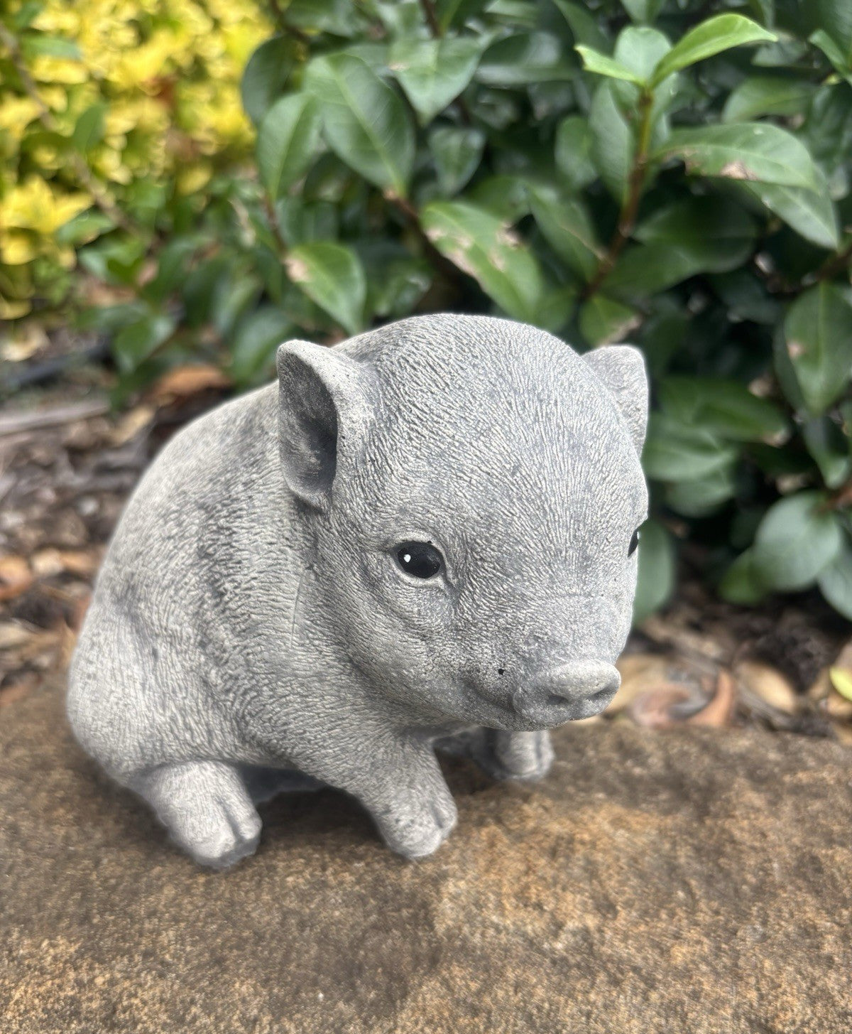 Little Pig Piglet Statue Farm Ornament Animal Concrete Garden Australian Made