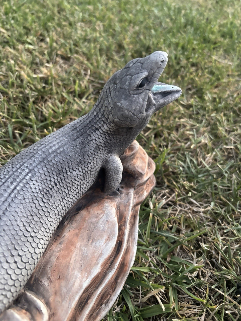 Blue Tongue Lizard Statue Ornament Animal Cement Concrete Garden Australian Made