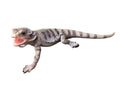 Bearded Dragon Lizard Garden Statue Ornament Figurine
