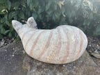 Australian Made Concrete Numbat Garden Statue | Outdoor Native Wildlife Ornament