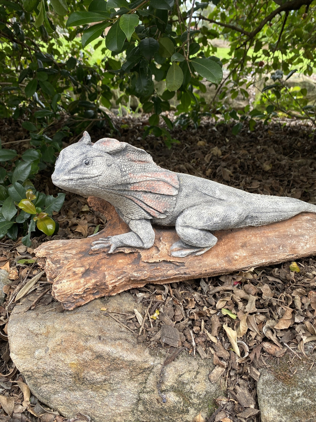 Frill Neck Lizard Statue Ornament Animal Concrete Garden Australian Made Large