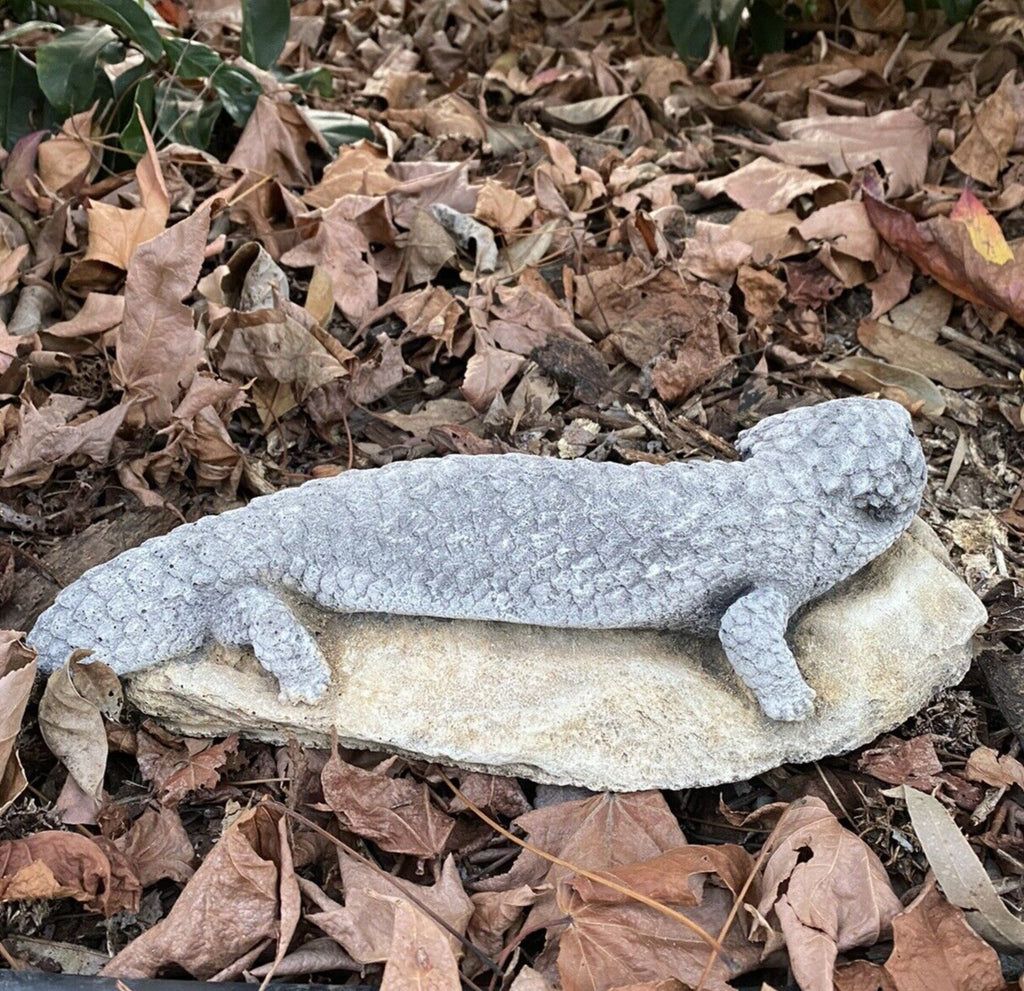 Shingleback Lizard Statue Ornament Animal Cement Concrete Garden Australian Made