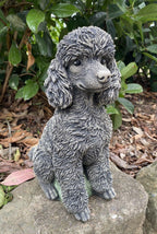 Poodle Dog Statue - Concrete Garden Ornament
