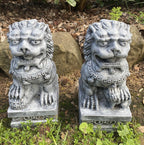 Foo Dog Guardian Lion Statue Concrete Cement Garden Statue Australian Made