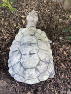 Turtle Tortoise Animal Concrete Cement Garden Statue Ornament Australian Made