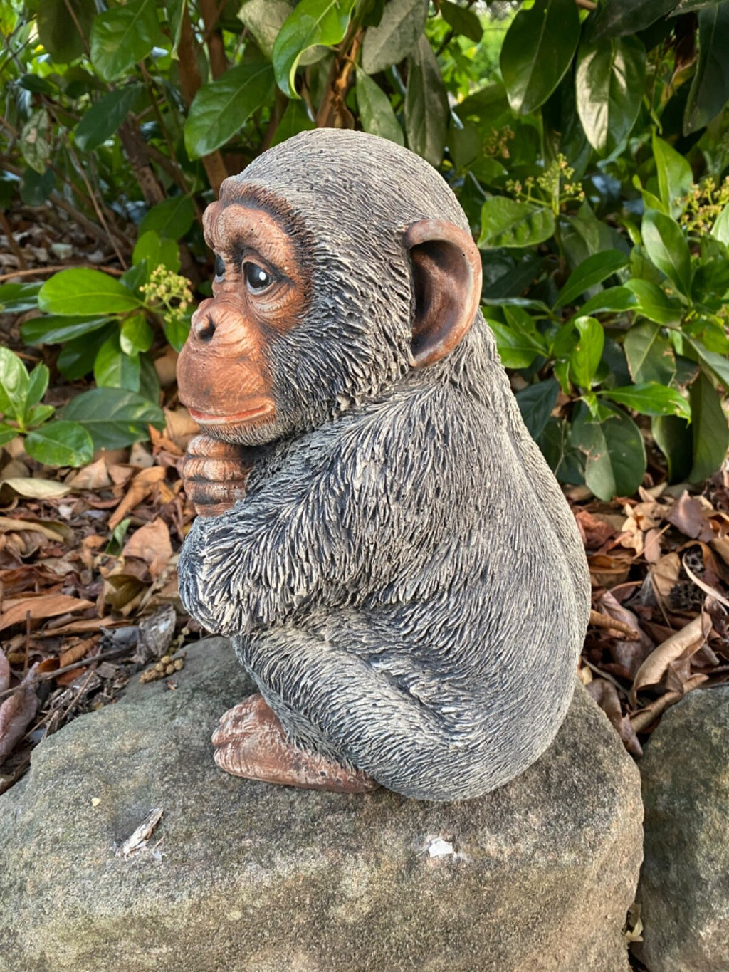 Monkey Chimpanzee Concrete Garden Statue – Australian Made