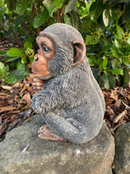 Monkey Chimpanzee Concrete Garden Statue – Australian Made