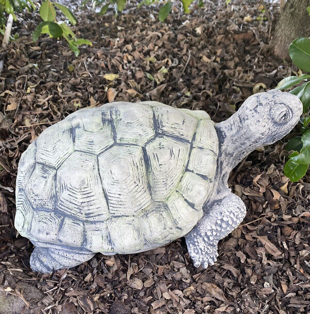 Turtle Tortoise Animal Concrete Cement Garden Statue Ornament Australian Made
