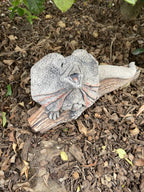 Frill Neck Lizard Statue Ornament Animal Concrete Garden Australian Made