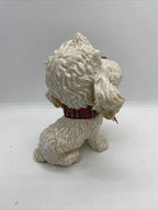 Little Paws - Winnie The Poodle Cocapoo Cross Cavoodle Pets With Personality
