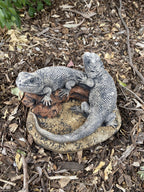 Bearded Dragon Lizard Garden Statue Ornament Animal Concrete Australia Made Pair