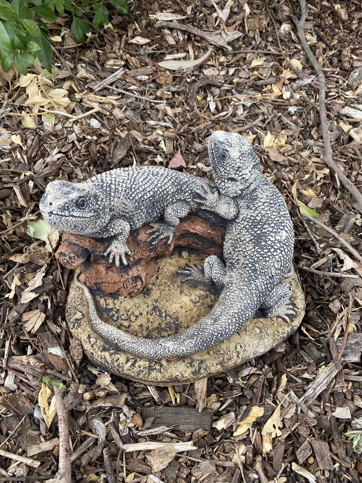Bearded Dragon Lizard Garden Statue Ornament Animal Concrete Australia Made Pair
