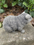 Guinea Pig Statue Ornament Farm Animal Concrete Garden Australian Made