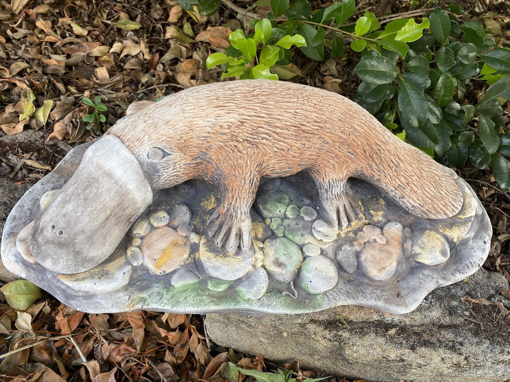 Australian Native Platypus Animal Concrete Cement Garden Statue Australian Made