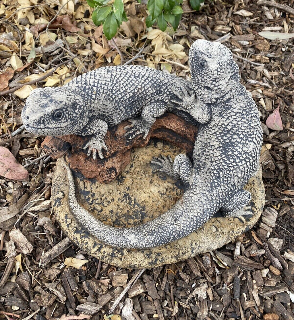 Bearded Dragon Lizard Garden Statue Ornament Animal Concrete Australia Made Pair