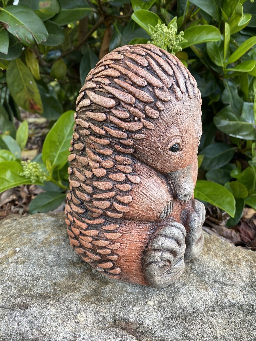 Echidna Sitting Garden Statue Ornament Animal Concrete Cement Australian Made