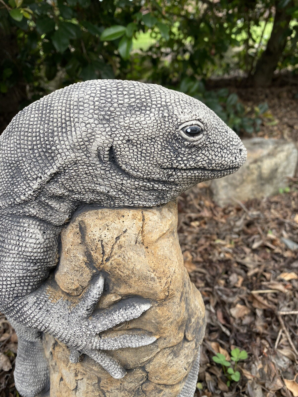 Goanna Lizard Rock Statue Ornament Animal Concrete Cement Garden Australian Made