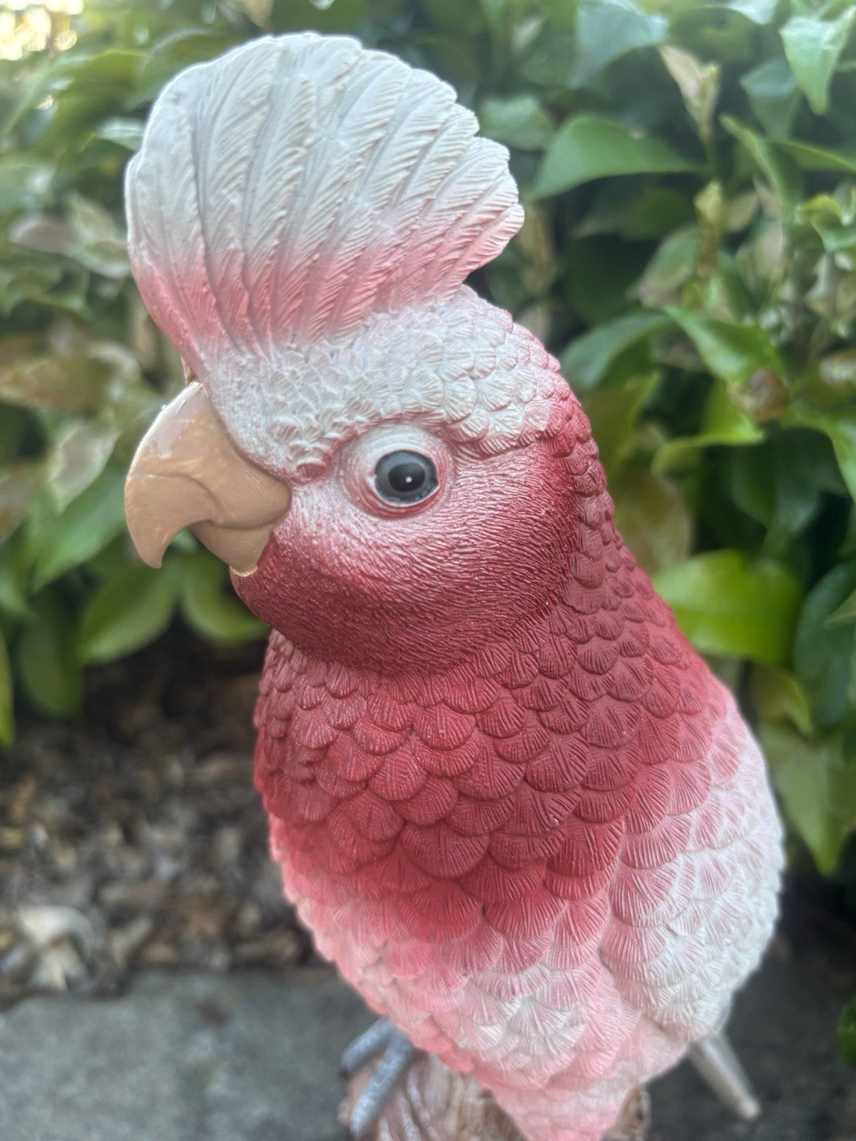 Resin Galah Parrot Bird Garden Statue Australian Bird Ornament 30cm