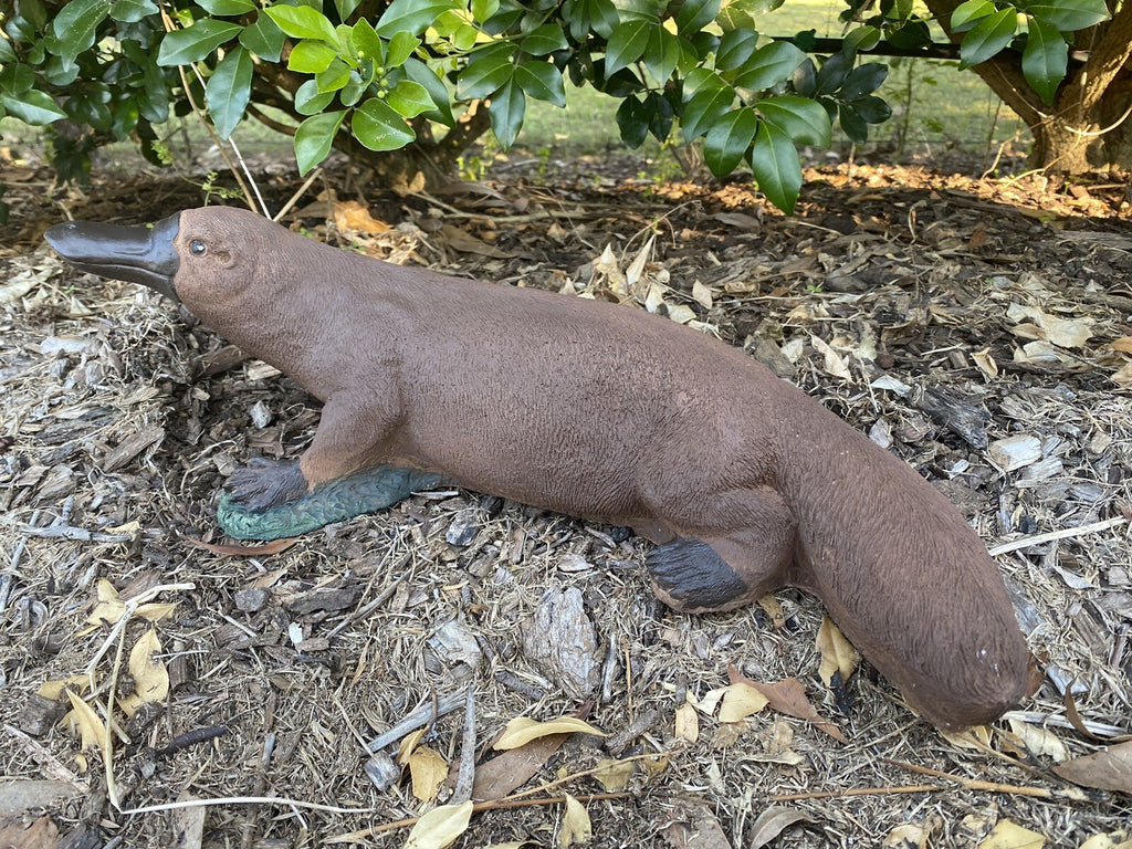Platypus Statue Ornament Animal Concrete Cement Garden Australian Made Brown