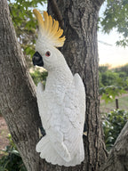 Cockatoo Wall Plaque
