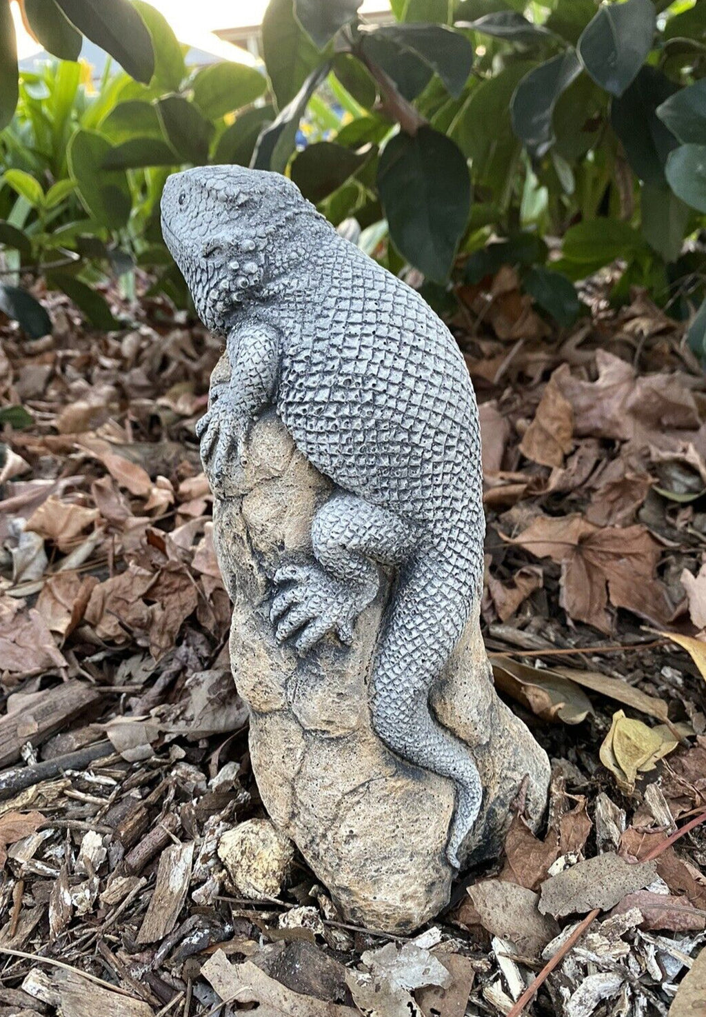 Bearded Dragon Lizard Statue Ornament Animal Concrete Garden Australian Made