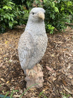 Bold Eagle Bird Statue Ornament Animal Concrete Garden Australian Made 53cm High