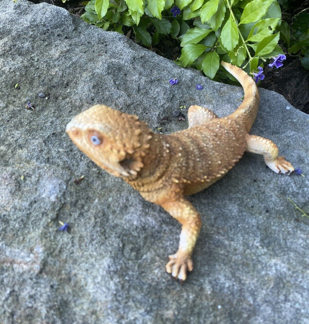 Bearded Dragon Lizard Garden Statue Ornament Figurine