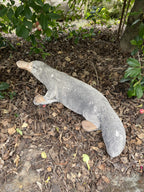 Platypus Statue Ornament Animal Concrete Cement Garden Australian Made